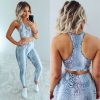 The Best 2pcs Women Outfits Set Running Vest Bra + High Waist Pants Gym Workout Casual Fitness Clothes Tights Sport Wear Tracksuit Online - Hplify