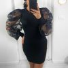 Mock Neck Floral Sleeve Dress Women Flower Embroideried Mesh Ribbed Strechy Dress Spring Autumn Bodycon Party Dresses Vestidos - Hplify
