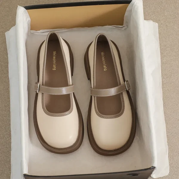 Thick-soled Mary Jane Shoes For Women's Single Shoes Retro Women's Shoes
