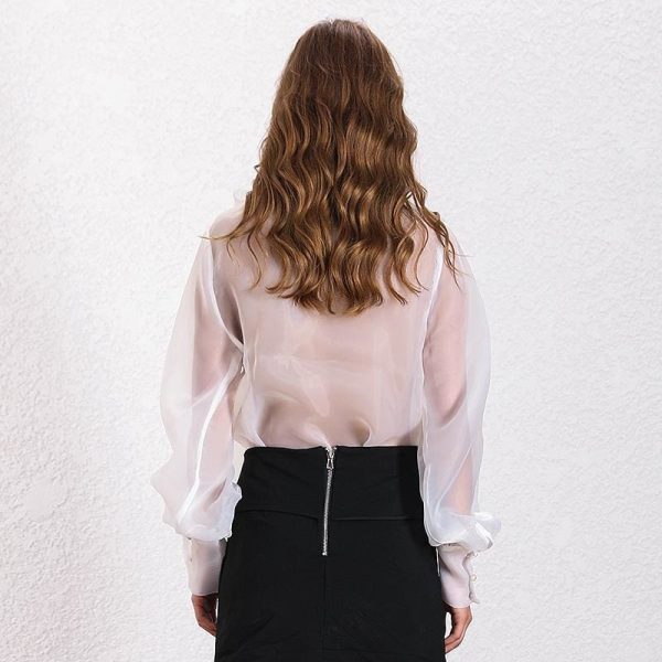 The Best Elegant Perspective Womens Tops Lantern Sleeve Lace Shirts Online - Hplify