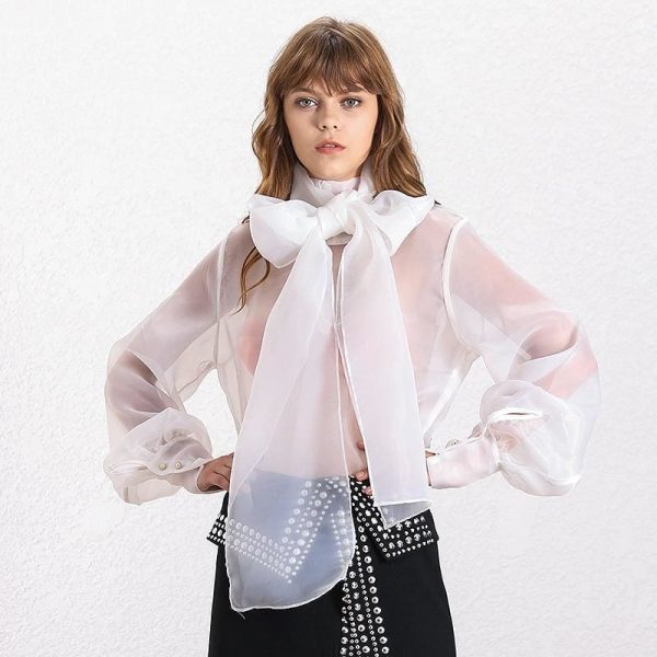 The Best Elegant Perspective Womens Tops Lantern Sleeve Lace Shirts Online - Hplify