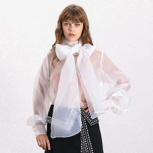 The Best Elegant Perspective Womens Tops Lantern Sleeve Lace Shirts Online - Hplify