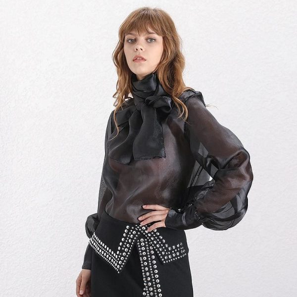 The Best Elegant Perspective Womens Tops Lantern Sleeve Lace Shirts Online - Hplify