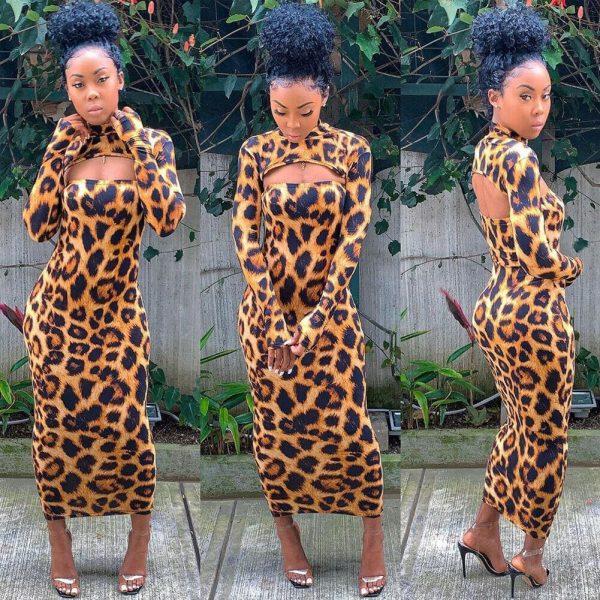 The Best Women Long Sleeve Leopard Bodycon Dress Autumn Ladies Evening Party Clubwear Slim Long Sexy Dress Online - Hplify
