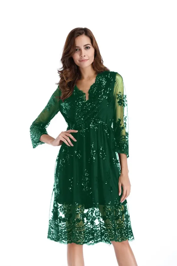 Womens Sequin Embroidered V-Neck Flared Mini Dress