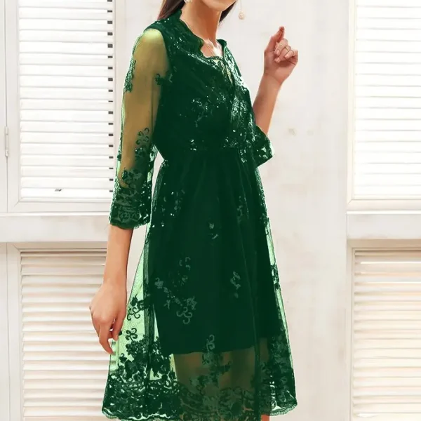 Womens Sequin Embroidered V-Neck Flared Mini Dress