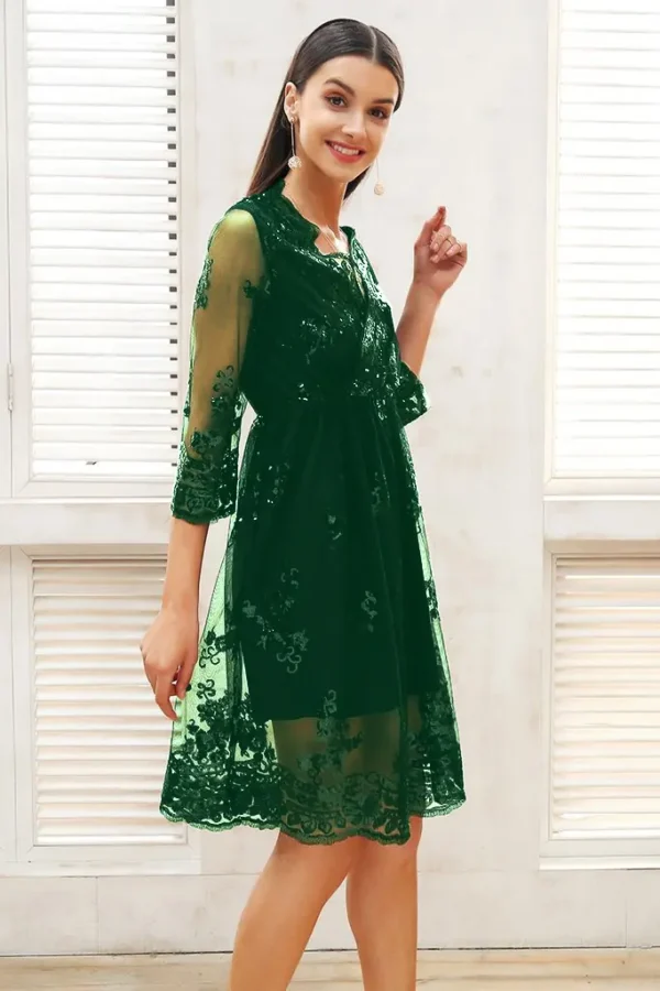 Womens Sequin Embroidered V-Neck Flared Mini Dress