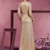 Sequin Long Sleeve V-Neck Elegant Maxi Evening Gown Women Dress