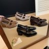Women's Round Toe Thick Heel Medium Heel Sheepskin Mary Jane Dress Shoes