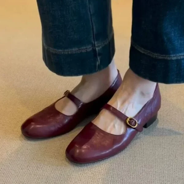 Modern Minimalist Sheepskin Low Heel Buckle Strap Womens Mary Janes